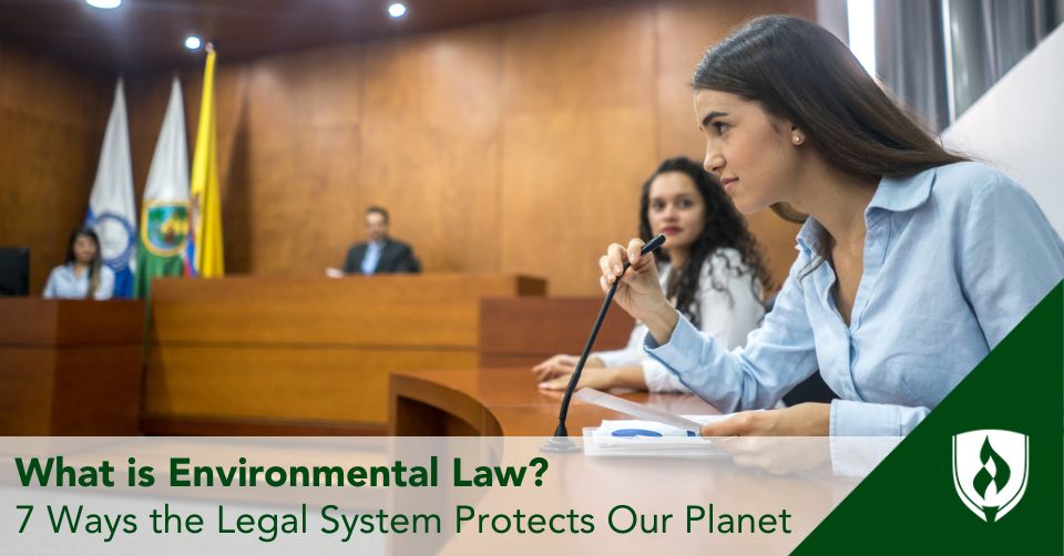 An environmental lawyer testifies in court