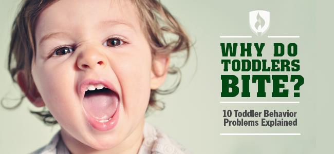 Why do toddlers bite? 10 toddler behavior problems explained