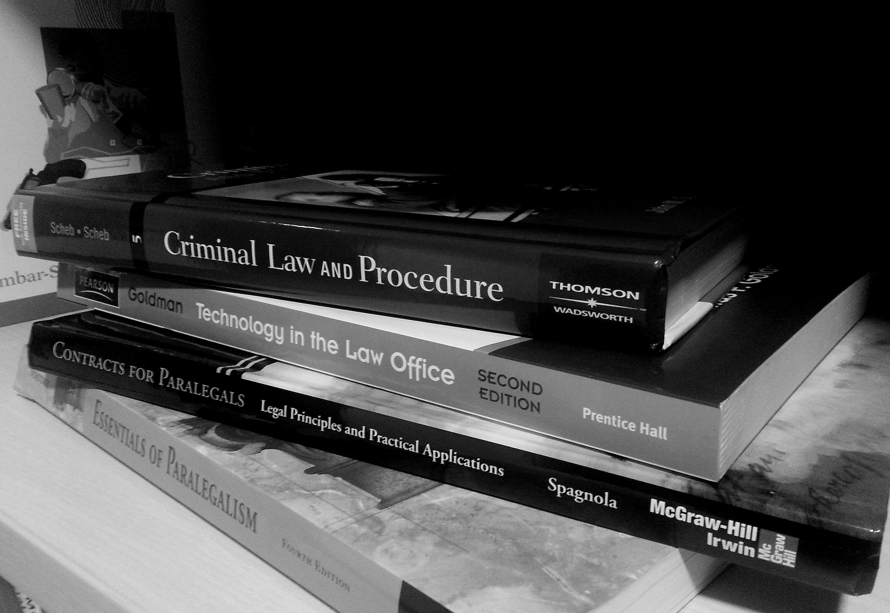 Inside Info For New Paralegals Looking To Succeed In A Dog - 