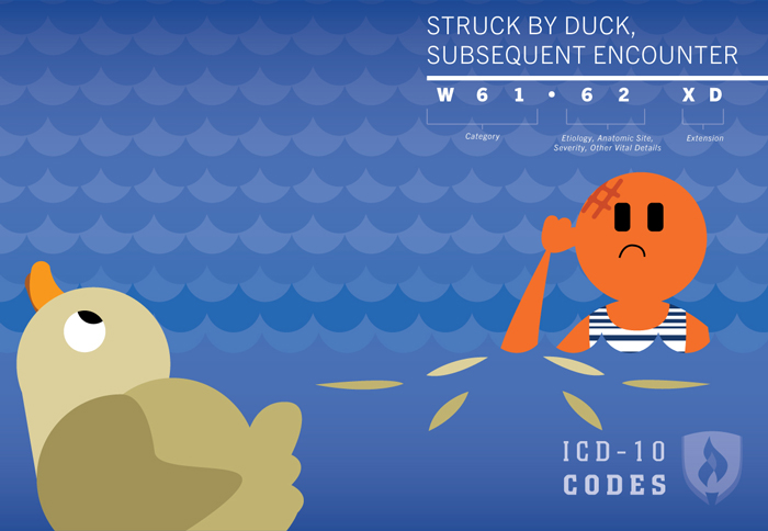 Strange ICD10 Codes Struck by Duck