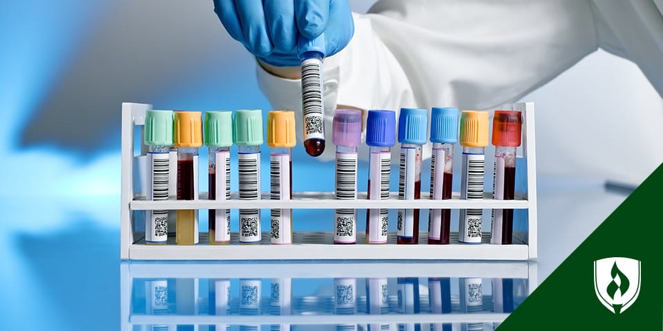 photo of a medical lab technician holding blood collection tube