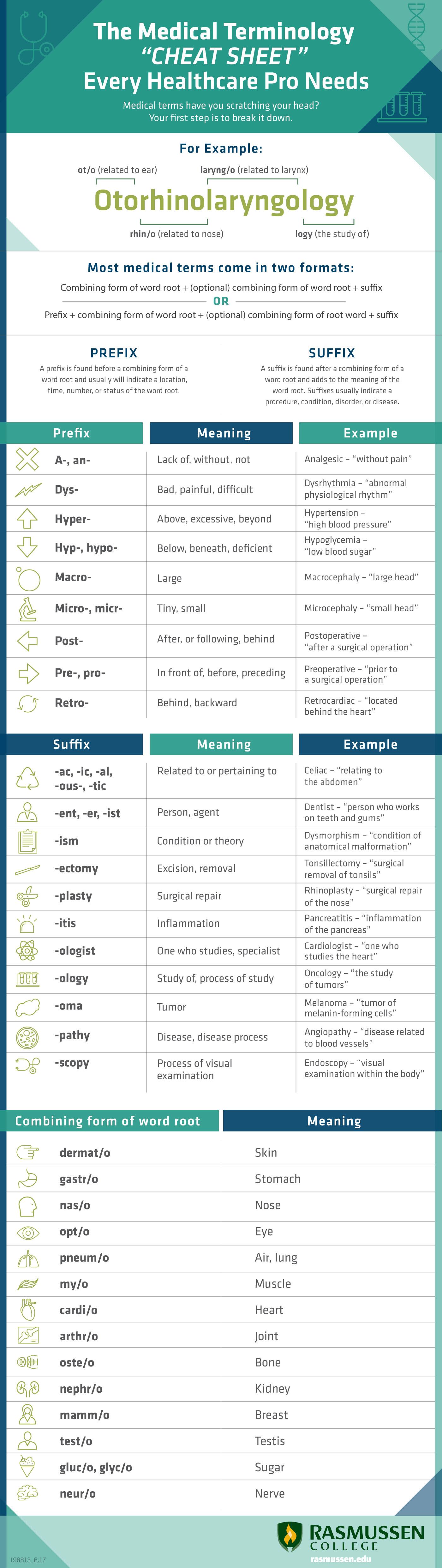 Medical Terminology Infographic, described in detail below.