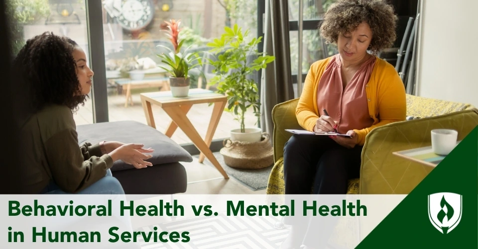 behavioral health vs mental health header A client and behavioral health specialist meet in a bright office