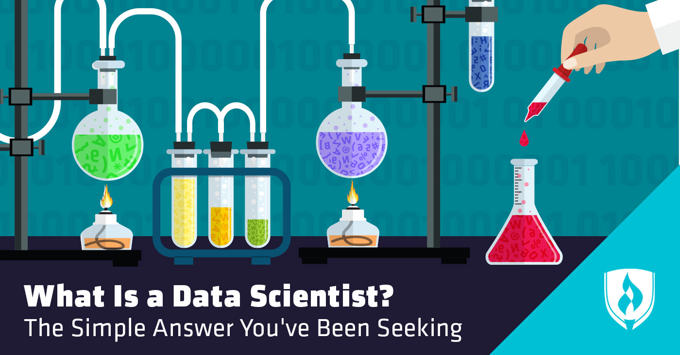what is data scientist