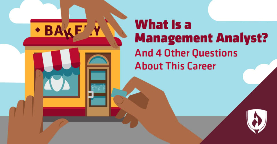 What is a management analyst?