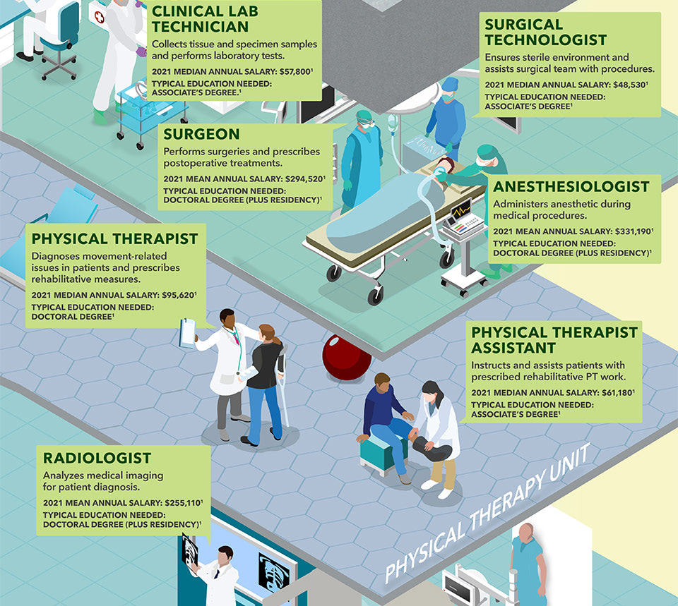 Infographic image featuring a cutaway view inside of a hospital showing various healthcare professionals interacting with patients as well as career information.