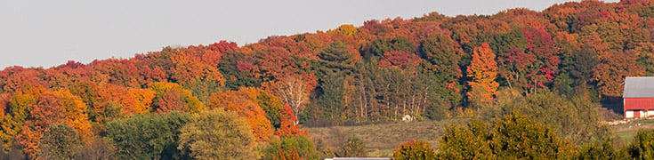 Wisconsin fall landscape photo