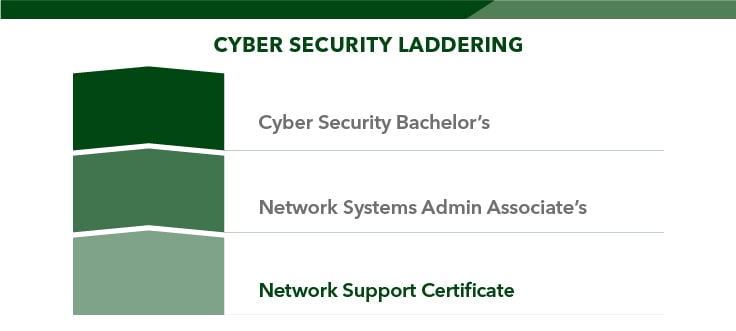 Cyber Security laddering graphic